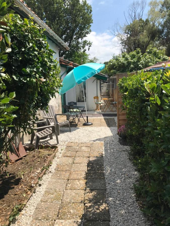 Appartement Entre Ocean Et Montagne 15Bis Avenue De Montbrun Ανγκλέ Εξωτερικό φωτογραφία
